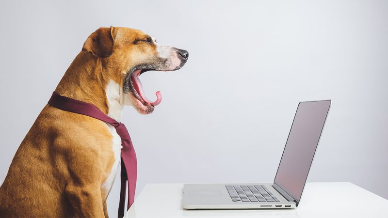 remote-working-motivation